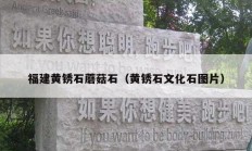 福建黃銹石蘑菇石（黃銹石文化石圖片）