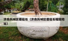 濟南歷城區(qū)蘑菇石（濟南歷城區(qū)蘑菇石榴園地址）